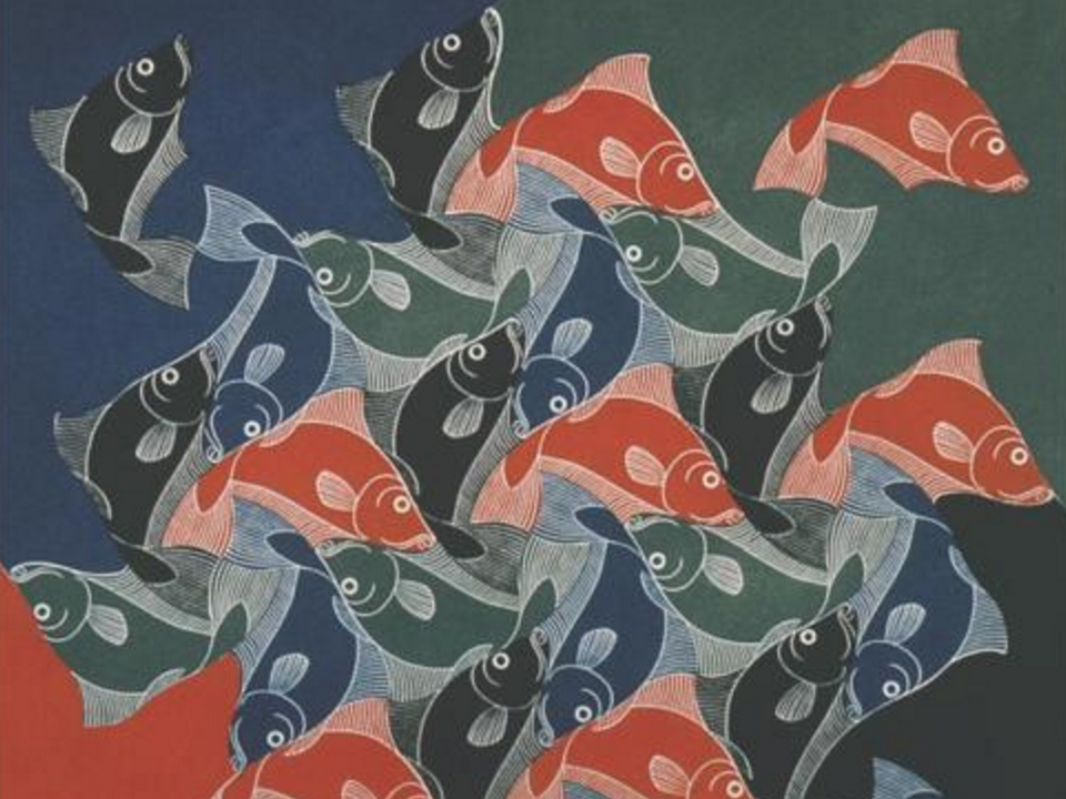 Cover art for The Simple Beauty of the Unexpected: A Natural Philosopher's Quest for Trout and the Meaning of Everything.