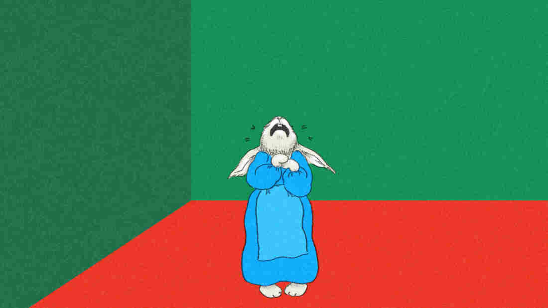 Planet Money's fair use bunny.