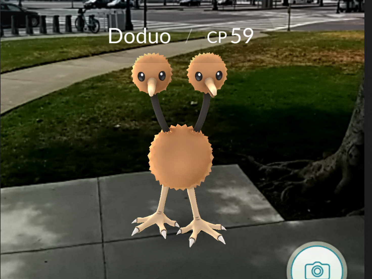 Gotta Catch 'Em All, Or At Least A Few: A Pokemon Neophyte Tries 'Pokemon GO'