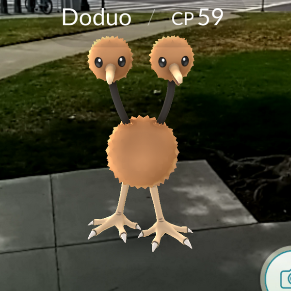 A screenshot from Pokemon GO.