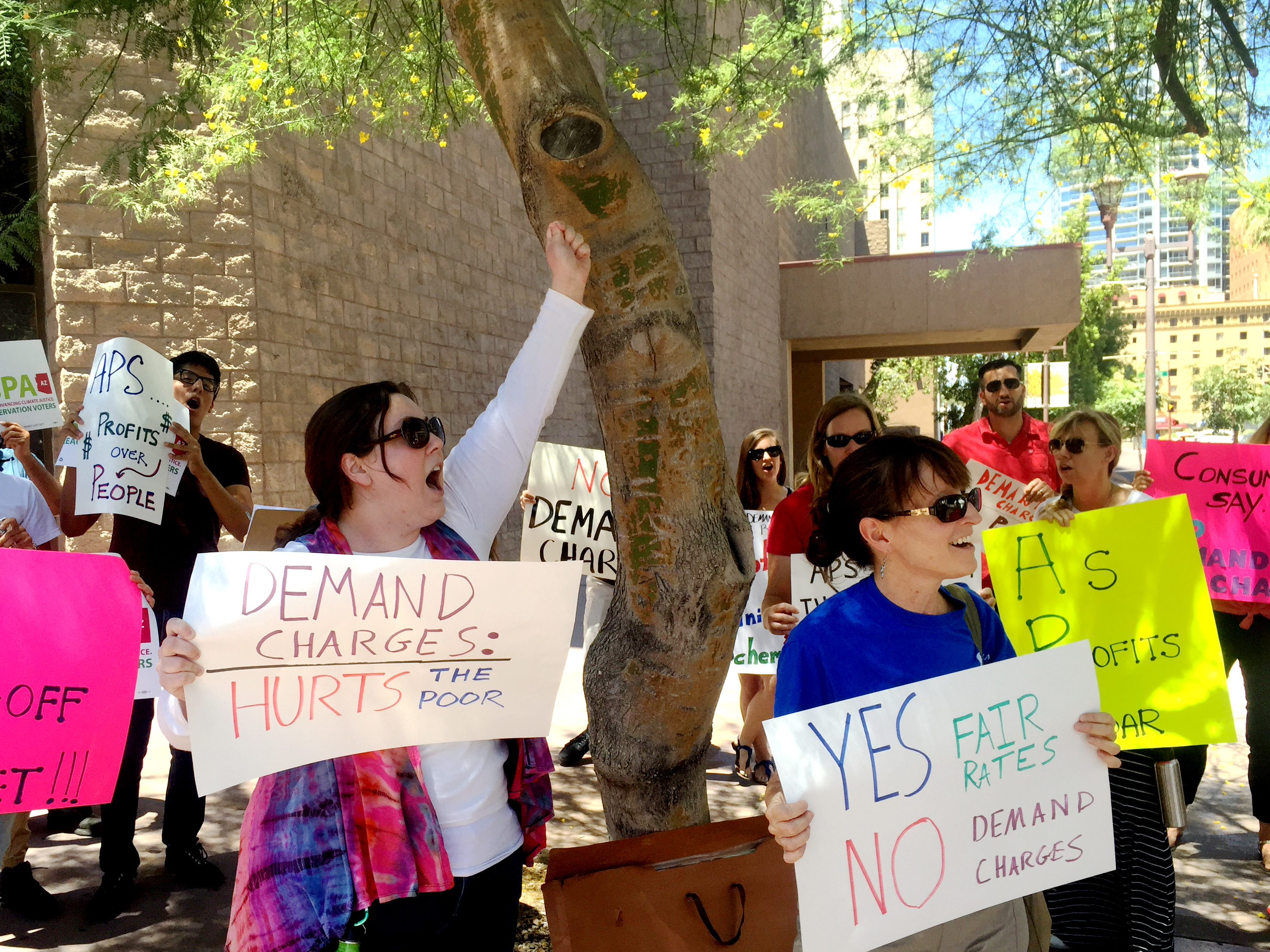 Consumer advocates took to the streets of Phoenix recently to protest against an Arizona utility's efforts to bill customers using a so-called &quot;demand charge.&quot; If approved, Arizona Public Service would be the first utility in the country to place most of its residential customers on that kind of rate plan. (KJZZ)