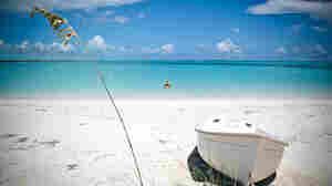 Bahamas Tells Young Men To Exercise Caution With U.S. Police 