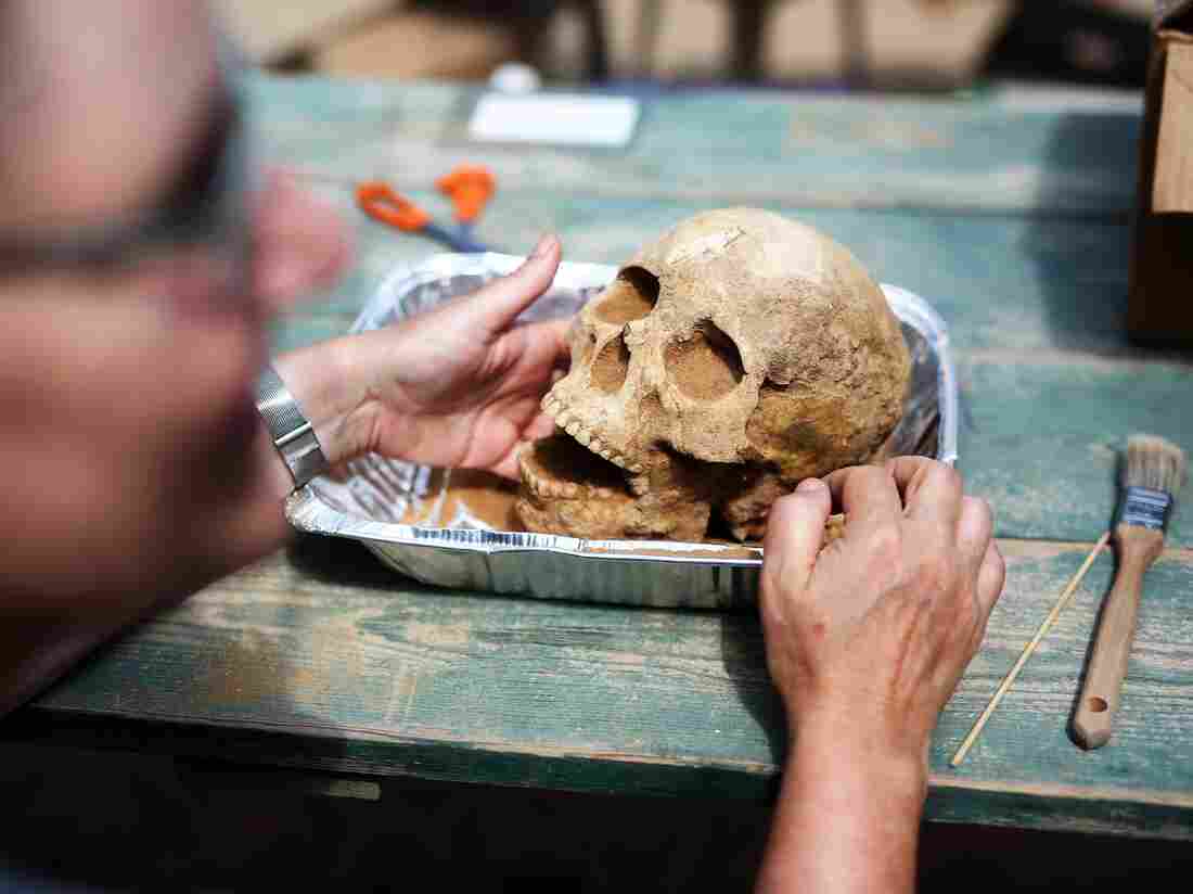 Anthropologist Sherry Fox displays a skull discovered at the Ashkelon excavation site, on June 28.