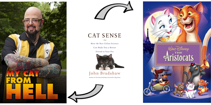 Cat Sense