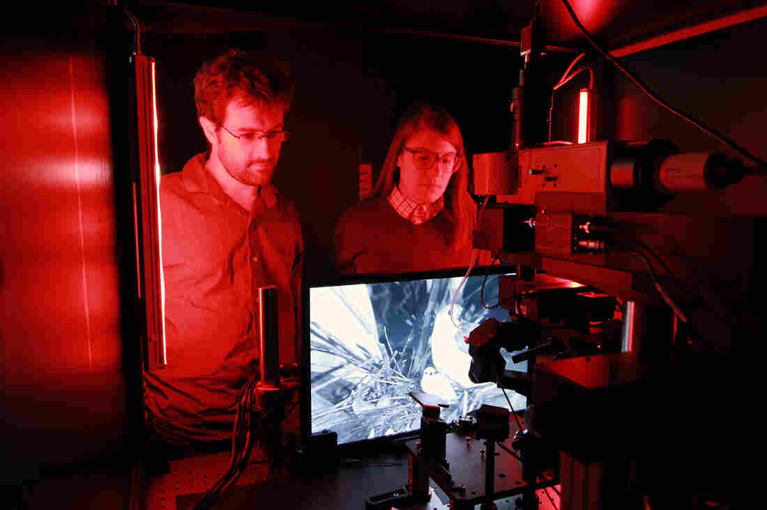 Senior scientist Jerome Lecoq and research associate Kate Roll of the Allen Institute inspect one of the microscopes used to record cellular activity in the visual cortex of mice as they watch movies.