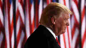 Republican presidential candidate Donald Trump takes the stage on the final evening of the Republican National Convention.