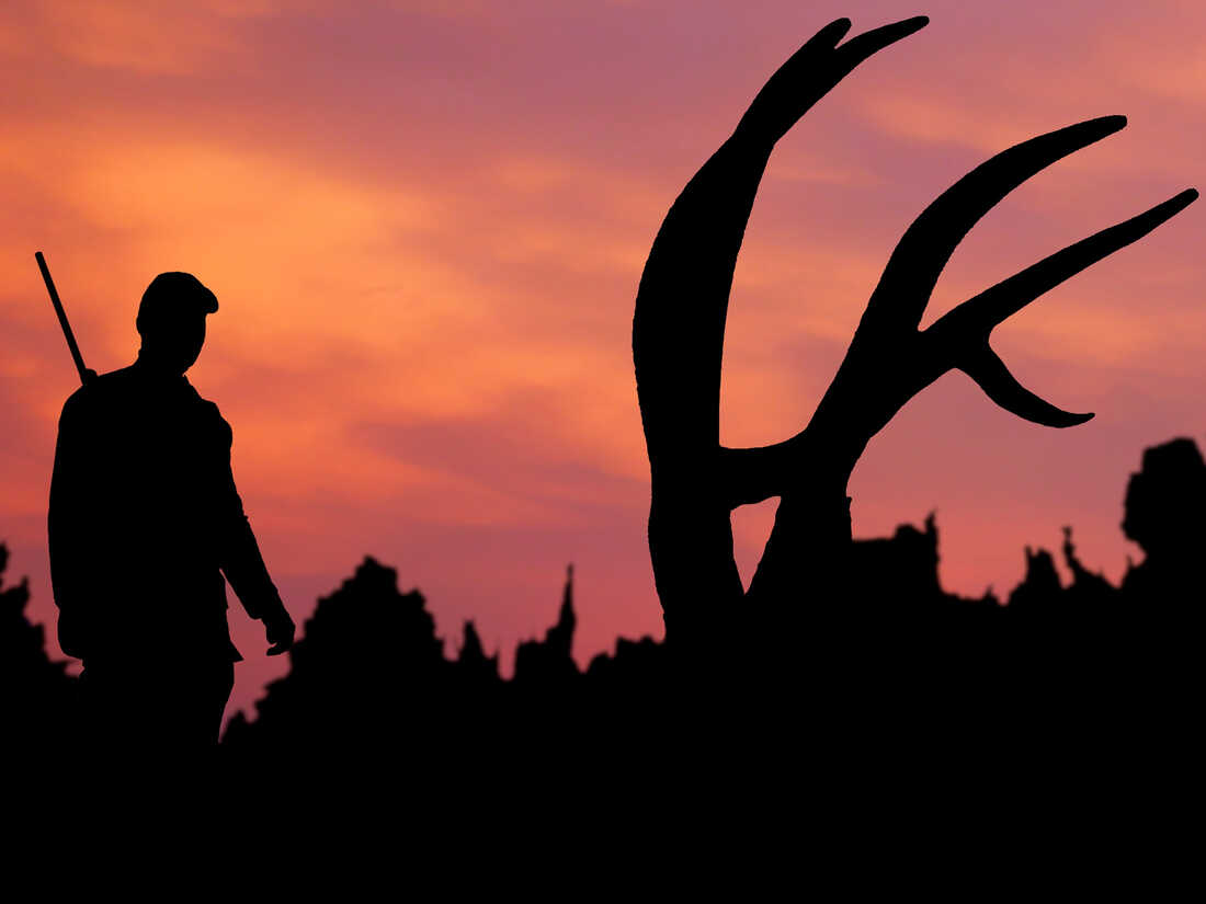 A hunter approaches an elk kill at twilight.