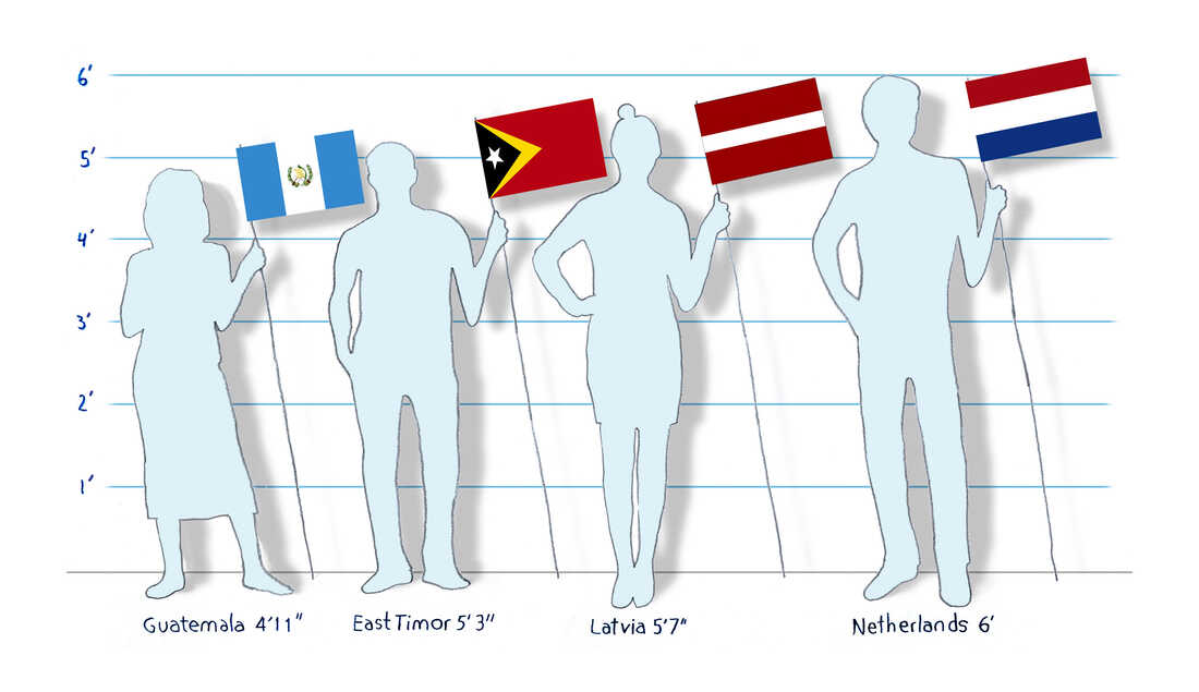 GRAPHIC NEWS] Change in average height of men and women