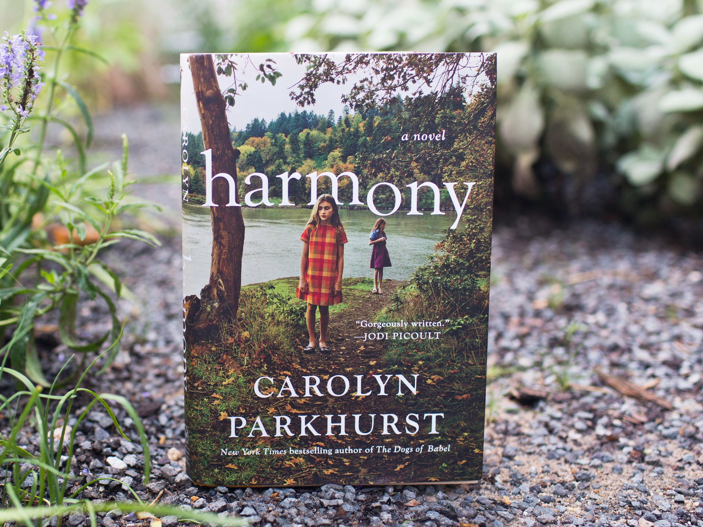 Harmony By Carolyn Parkhurst.