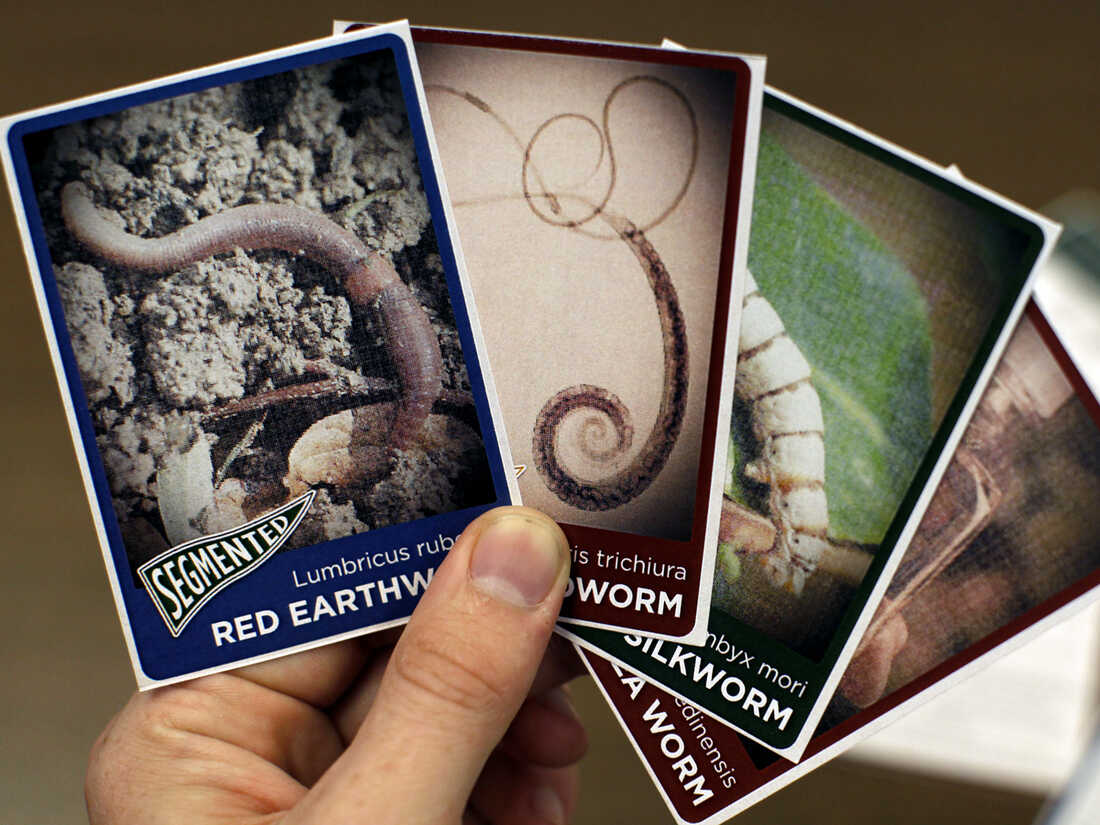 Worm trading cards!
