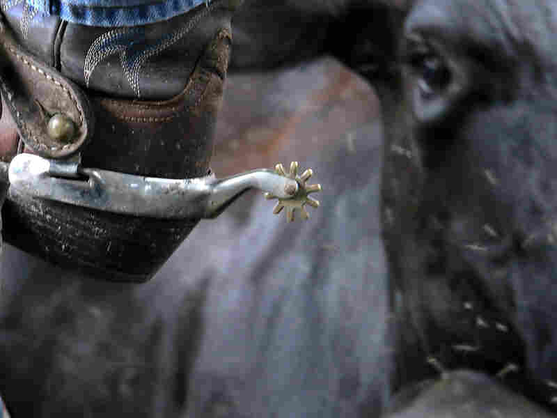 Spurs on the boots of Norman "Dad" Johns.