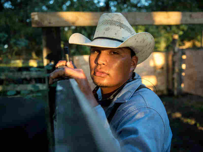 South Florida's Seminole Cowboys Cattle Is 'In Our DNA' Code Switch