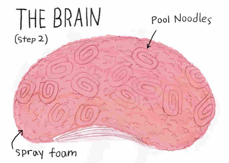 The Brain
