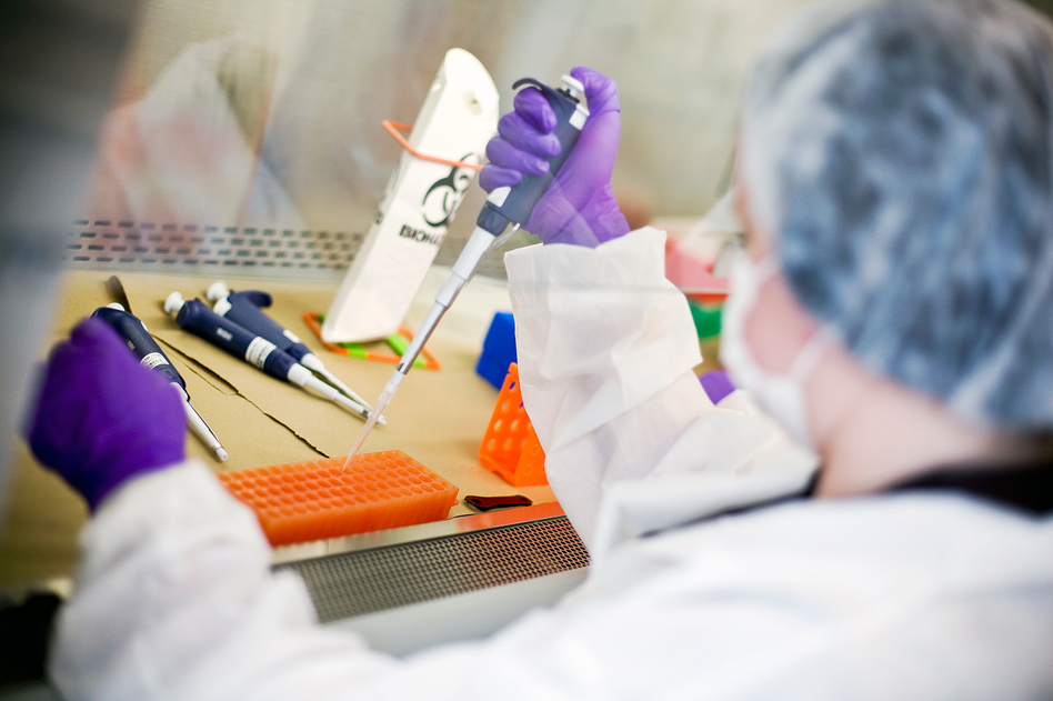 The condition known as hypertrophic cardiomyopathy, or HCM, <em>is</em> inherited and can be a killer. But some of the genetic mutations once thought linked to the illness are actually harmless, geneticists say. (Afton Almaraz/Getty Images)