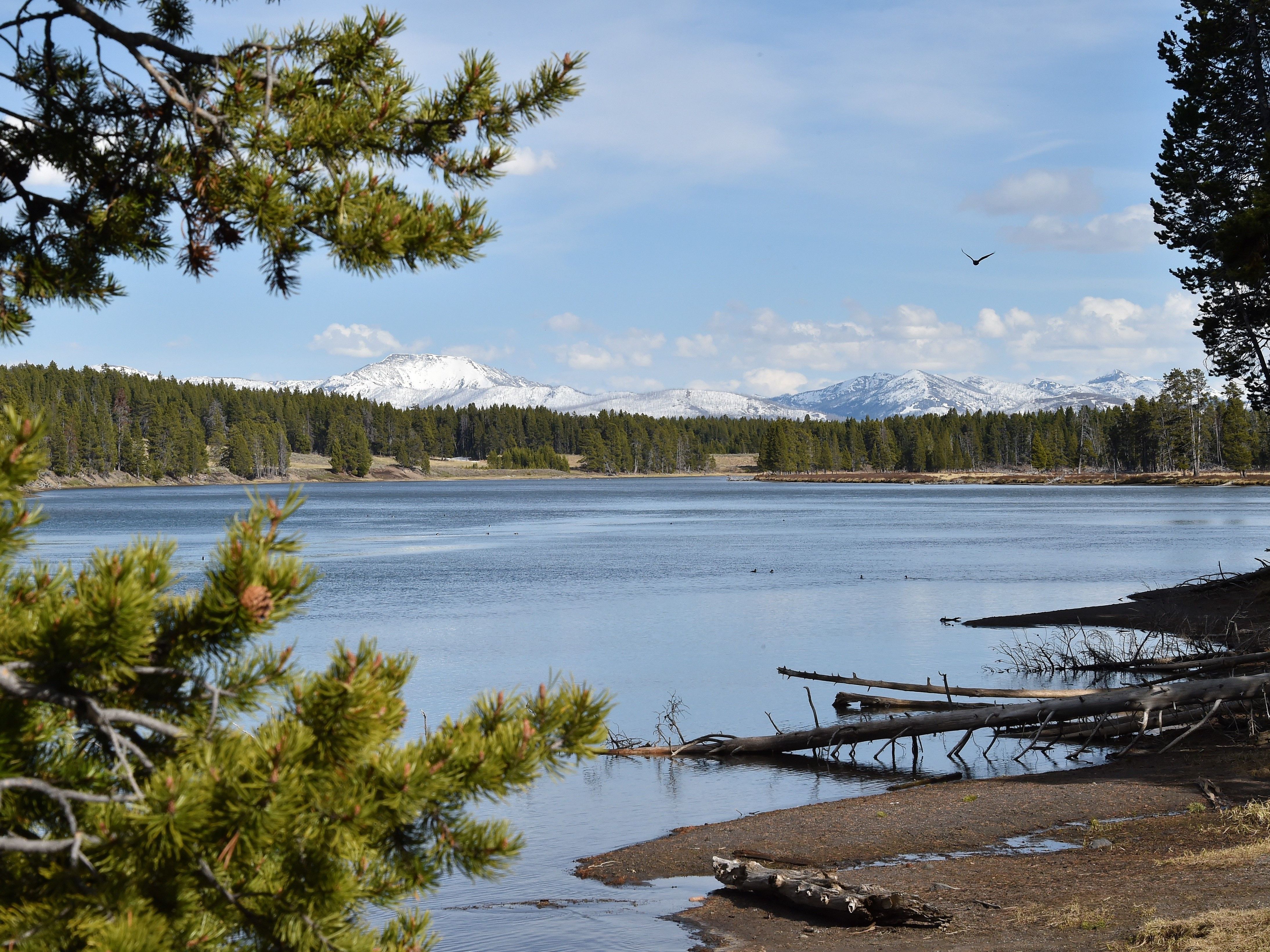 Water-based recreation is being banned along much of the Yellowstone River to help limit the spread of a parasite that appears to be killing fish.