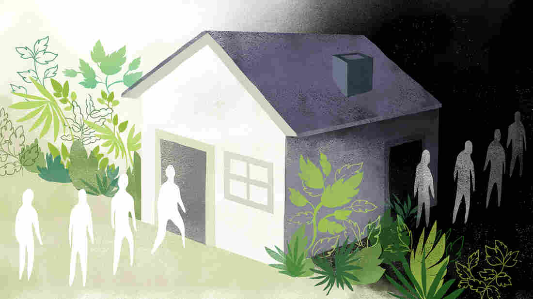 Nicole Xu for NPR