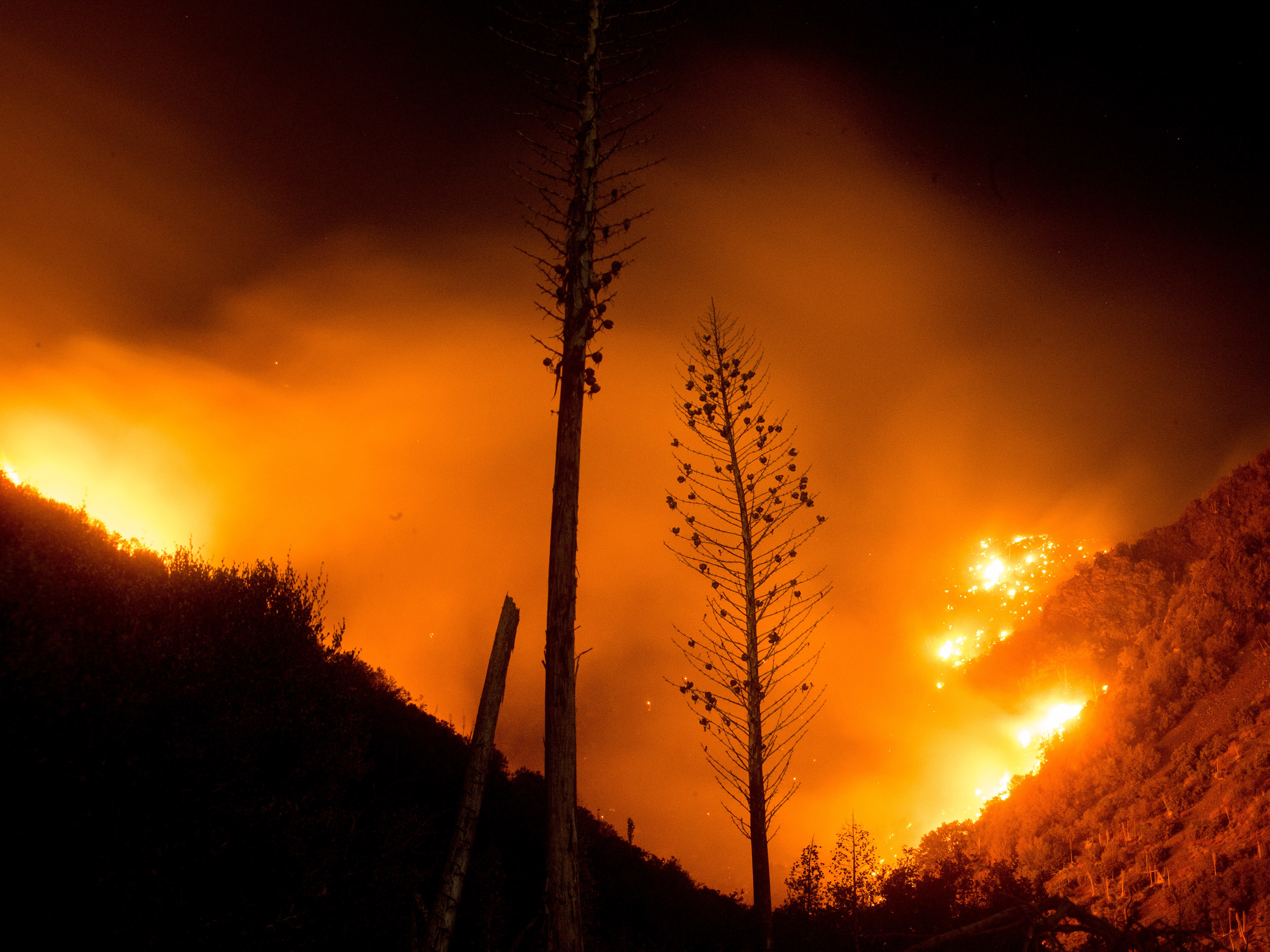 The Blue Cut fire burns in Upper Lytle Creek near Wrightwood, Calif., on Friday.