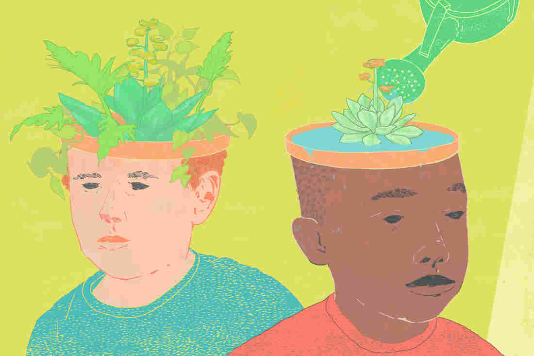 Illustration of the achievement gap shown through the analogy of growing gardens.