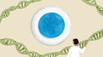 Researchers Question Safety, Value Of Untested Stem Cell Treatments