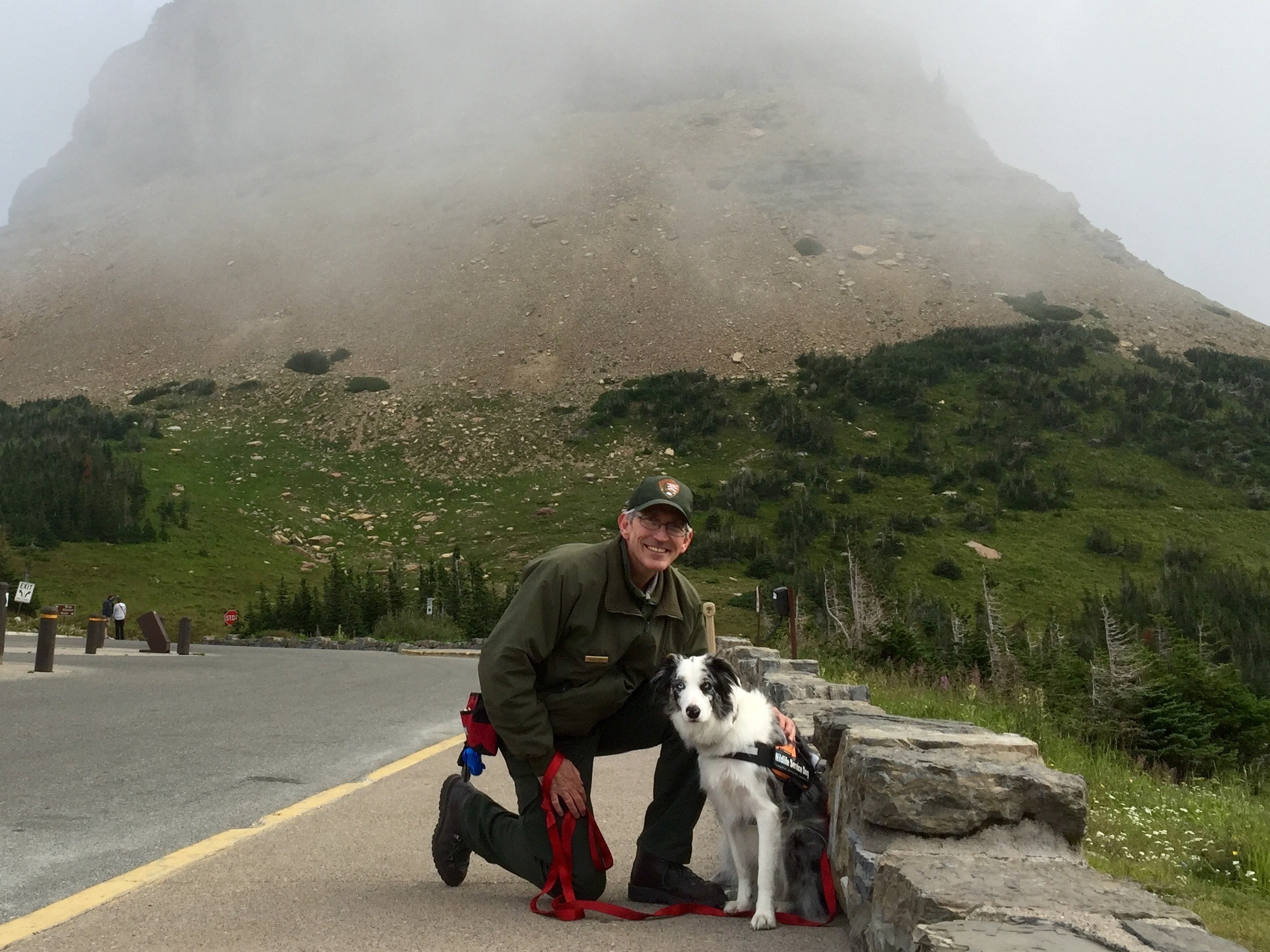 Meet Glacier National Park's 'bark ranger,' a dog trained to keep wildlife  and visitors safe