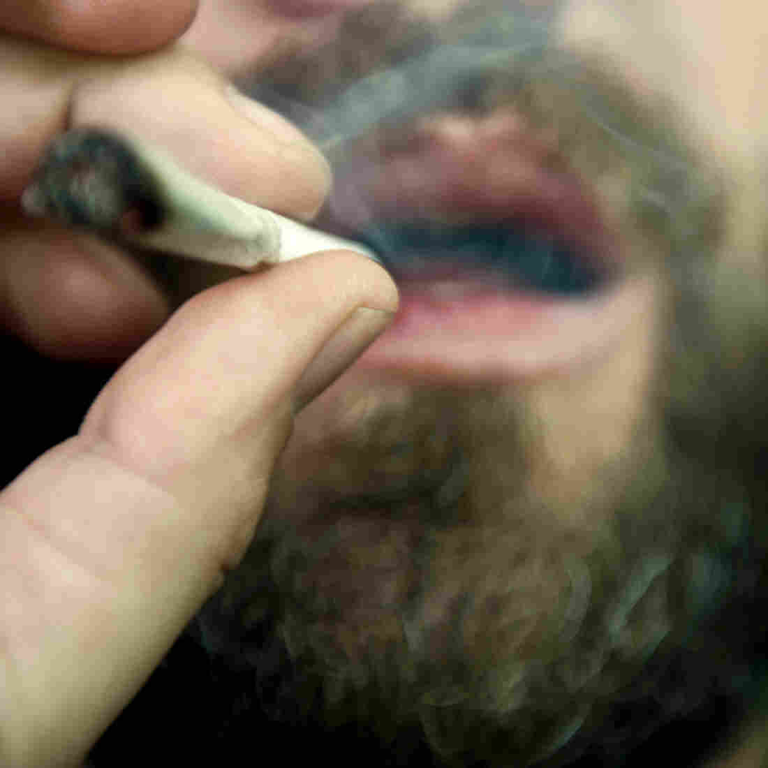 College High: Students Are Using More Marijuana, Fewer Opioids