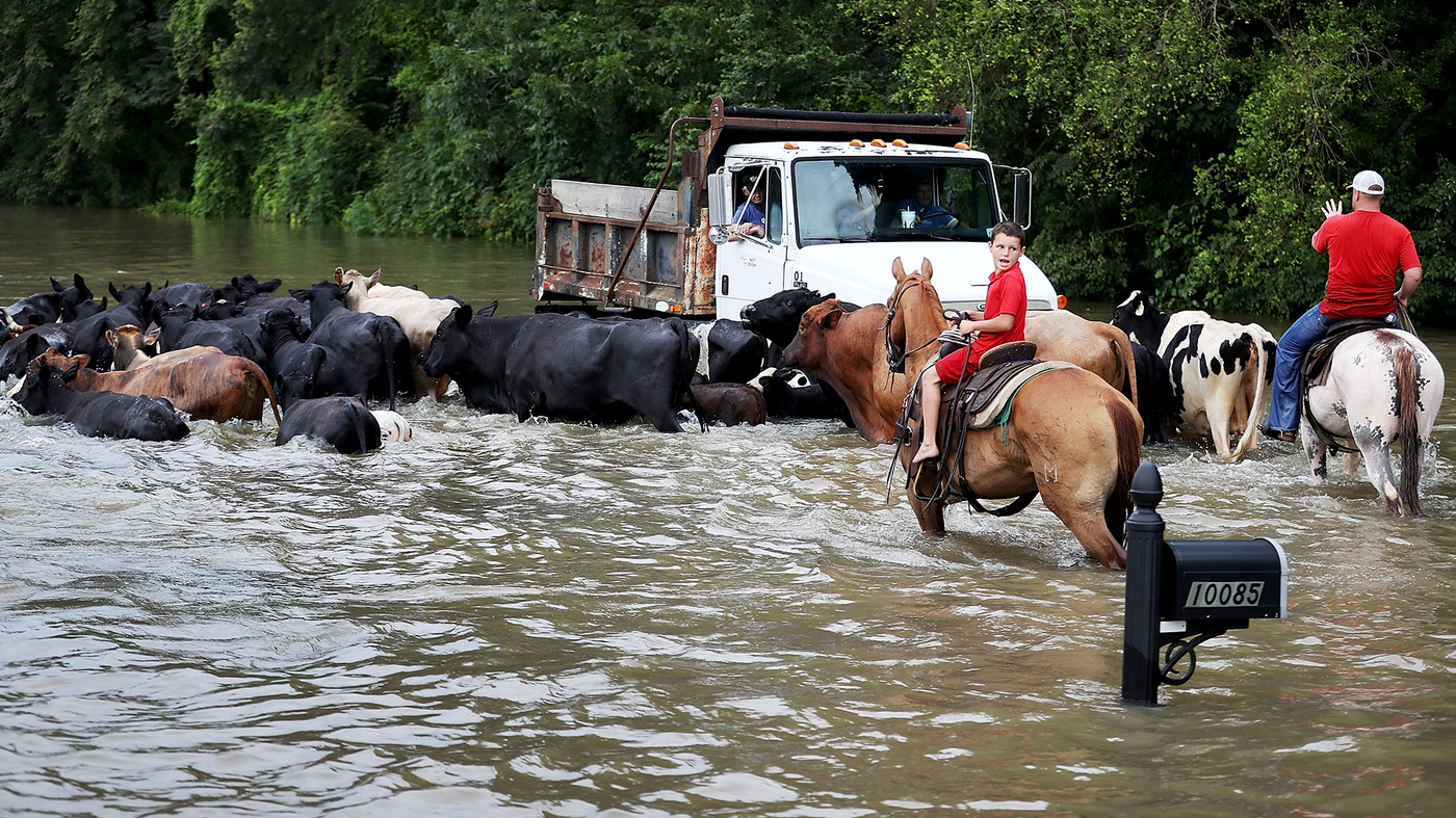 outdated-fema-flood-maps-don-t-account-for-climate-change-npr