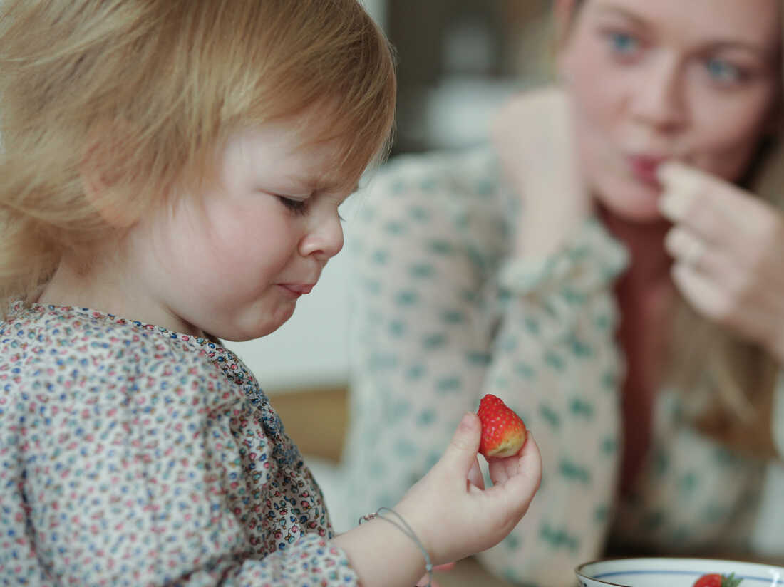Neuroscientists are beginning to learn more about the brain and taste.