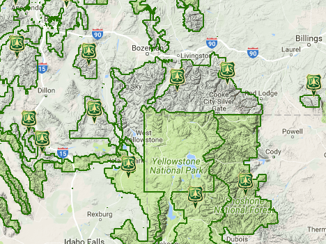 Where Did National Forests Go? Green Spaces Disappear From Google Maps