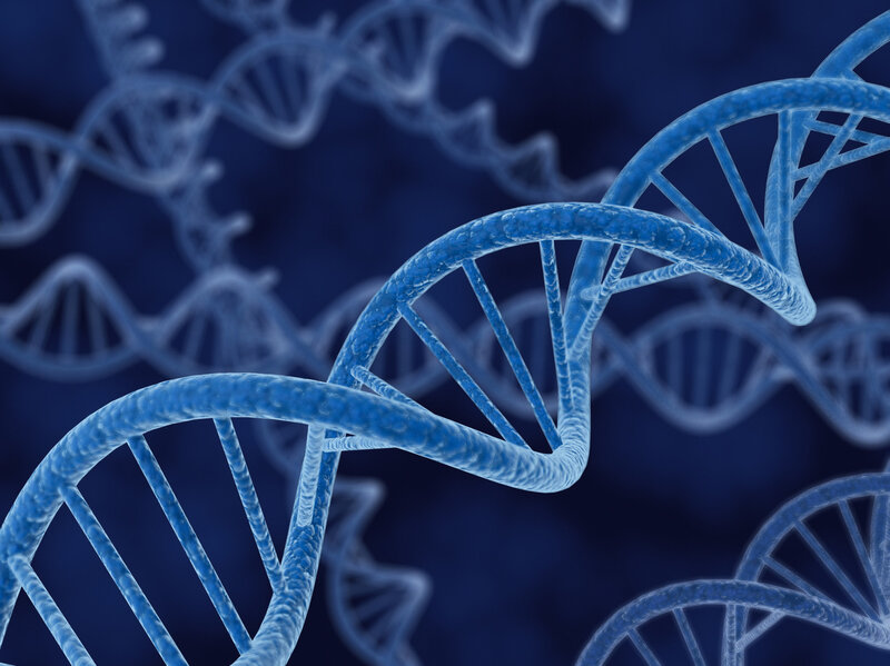 new york fertility doctor says he created baby with 3 genetic parents the two way npr
