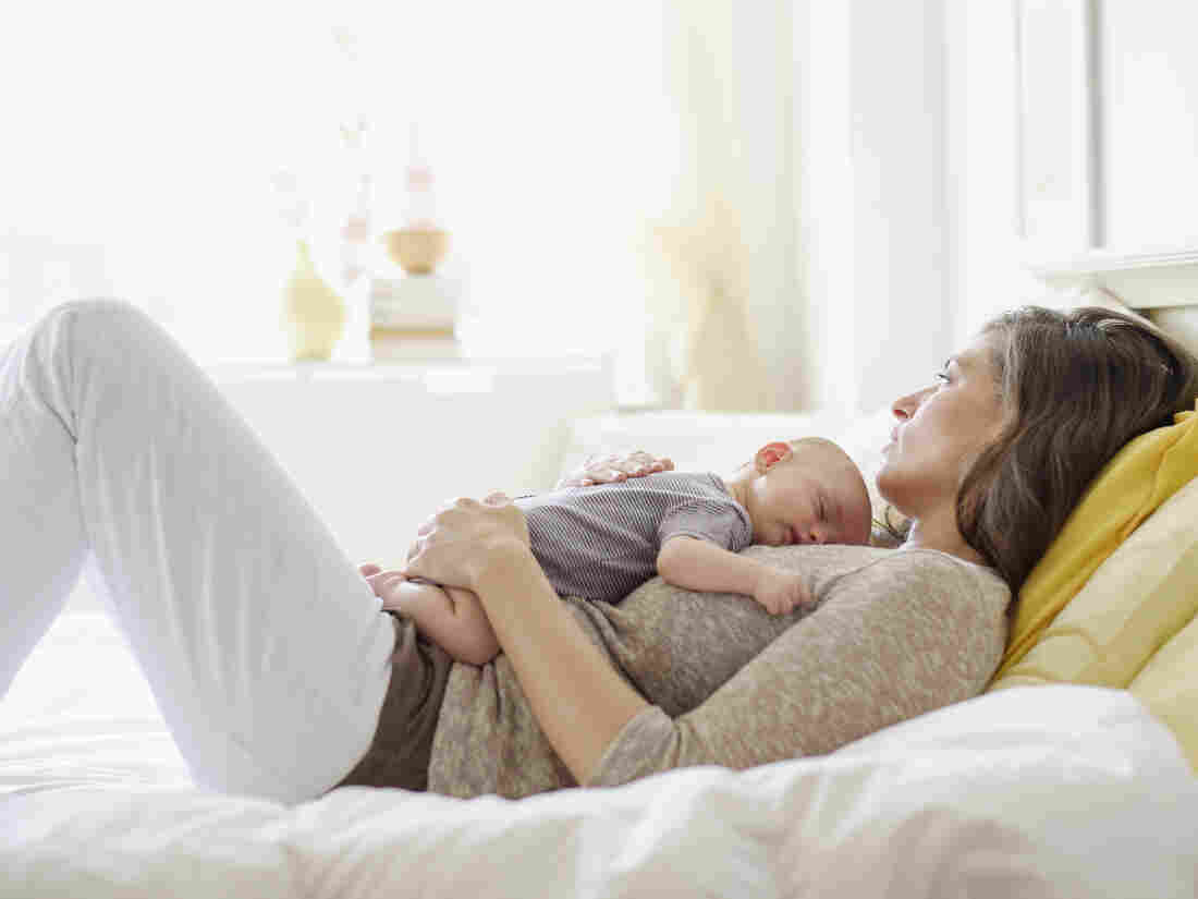 Psychologist Alison Gopnik looks at parents' role as one of as gardeners tending to their children in her new book, says Alva Noe.