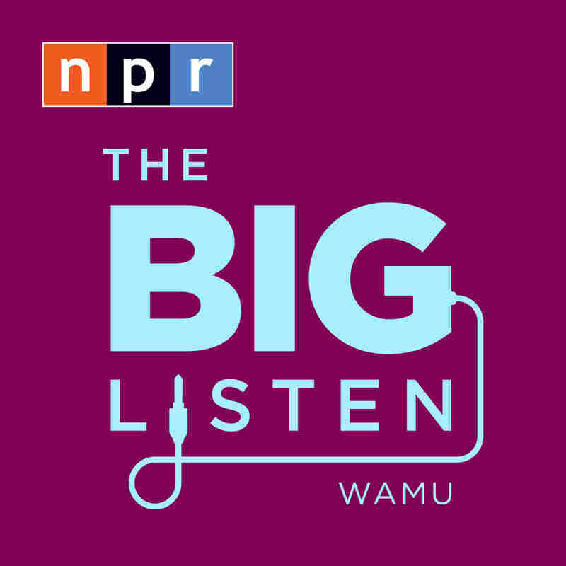 The Big Listen Logo
