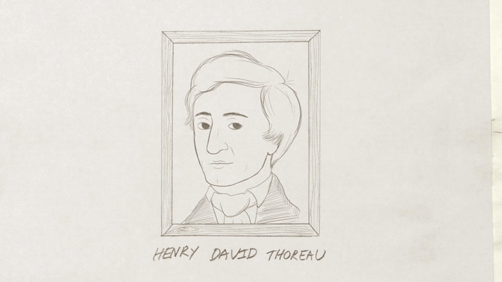 Henry David Thorea invented a numbering system for pencil cores.