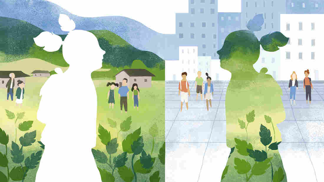 Public schools and Chinese community groups in New York City are becoming increasingly familiar with "satellite babies."