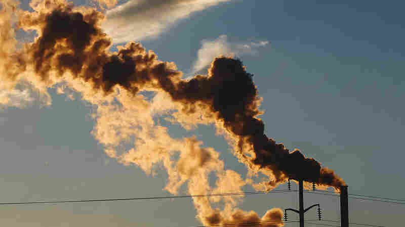 How do we better manage the toxins in our world?