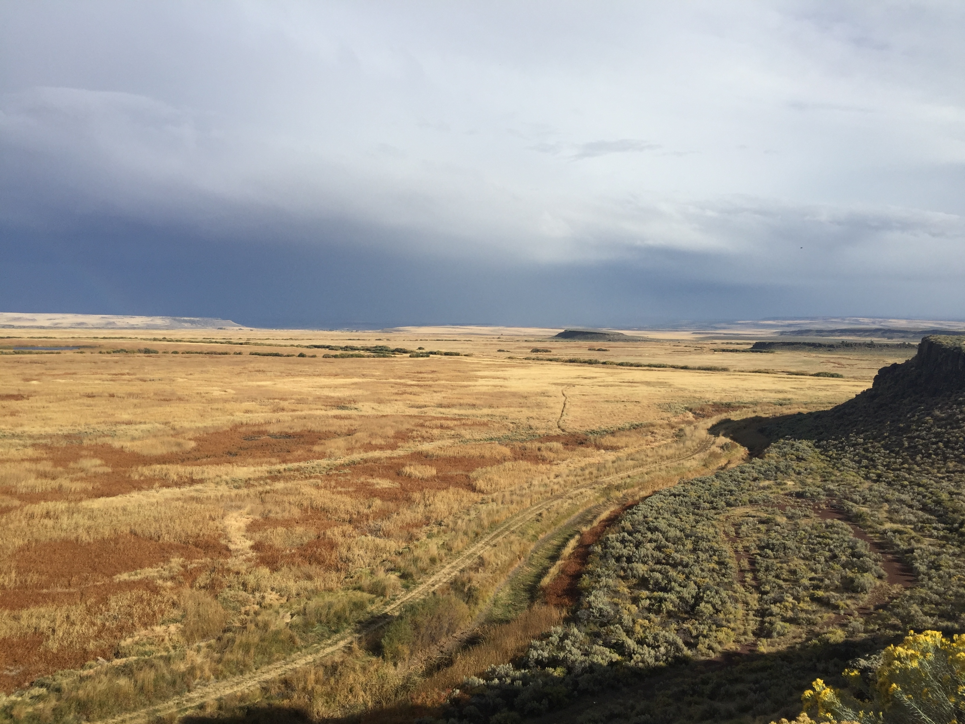Armed militants seized the Malheur National Wildlife Refuge in Oregon earlier this year as part of what they said was a political protest over the federal government's control of public lands in the West. (NPR)