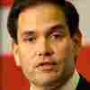 Marco Rubio Warns GOP On WikiLeaks: 'Tomorrow, It Could Be Us'