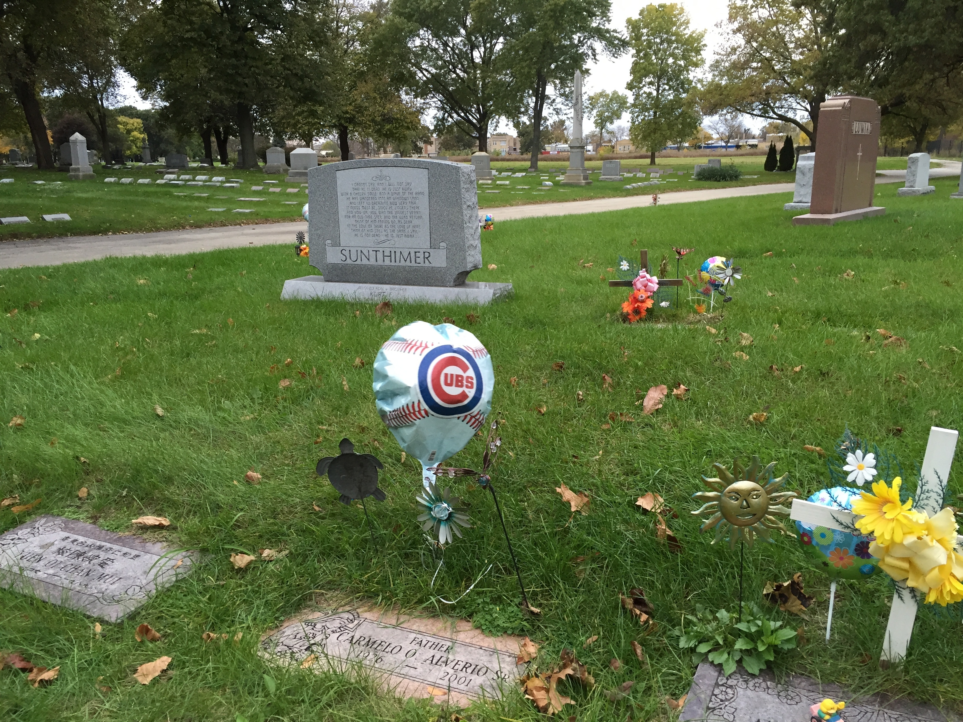 At cemeteries across Chicago, Cubs fans are leaving flags, pennants, flowers and balloons alongside the headstones of departed fans.