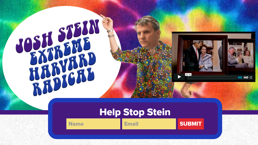 "Help Stop Stein"