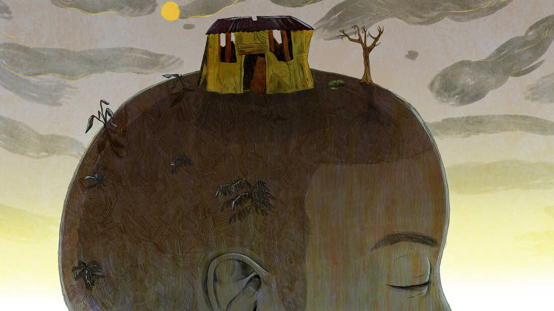 Lily Padula for NPR