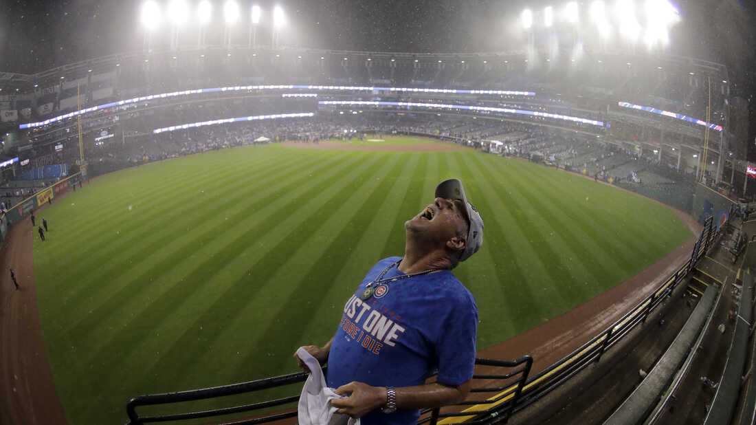 They've Waited A Long, Long Time For This: Veteran Chicago Cubs Fans  Rejoice : The Two-Way : NPR