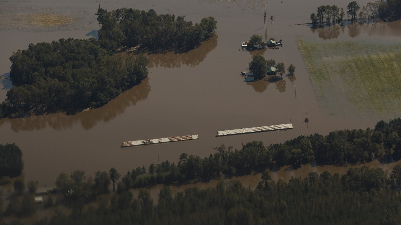 Usa News Live >> Manure Happens, Especially When Hog Farms Flood : The Salt : NPR Usa News Live >> Manure Happens, Especially When Hog Farms Flood : The Salt : NPR