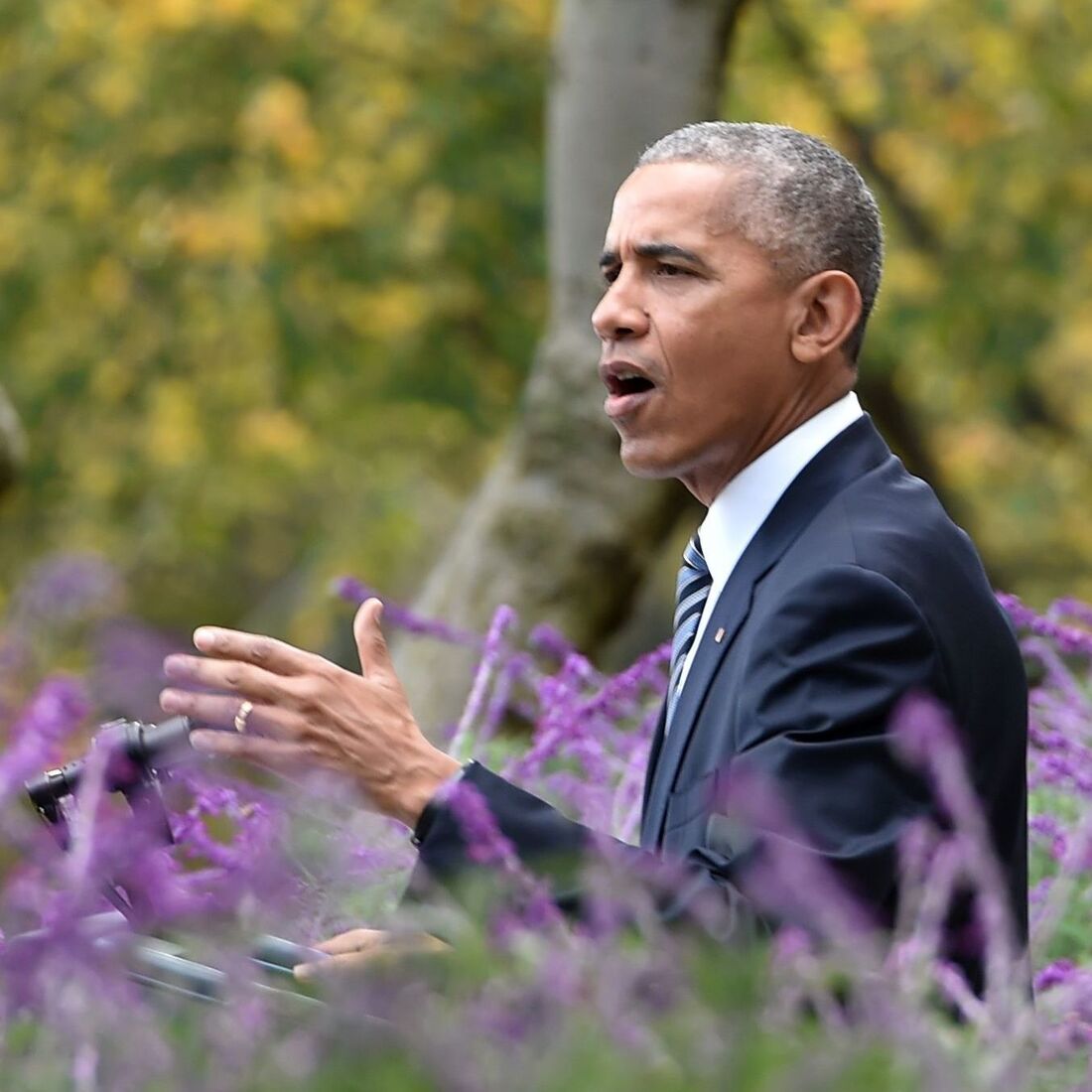 WATCH: President Obama On Trump Win, Clinton Loss