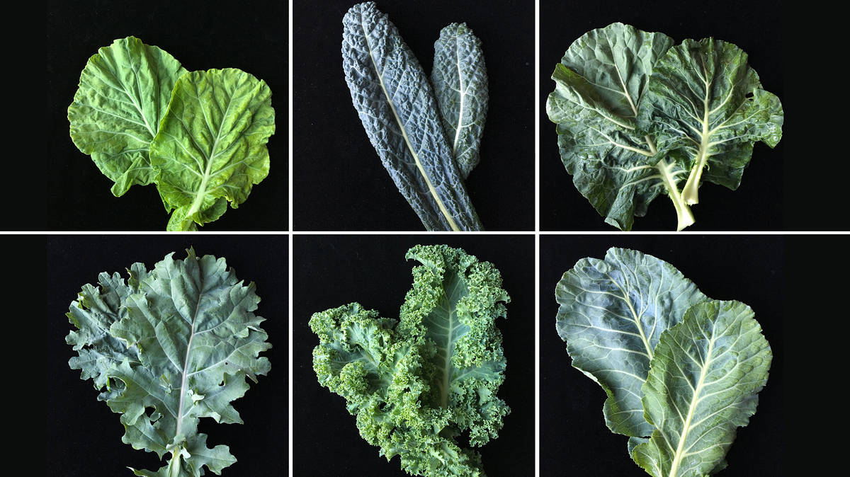 Kale Is About To Have An Identity Crisis The Salt NPR