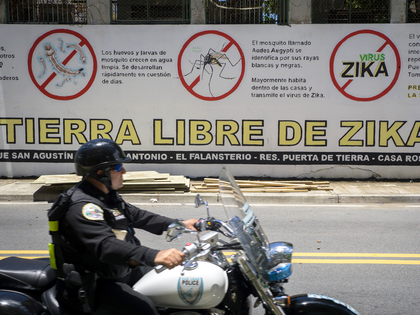 Texas Officially Has Zika-Carrying Mosquitoes