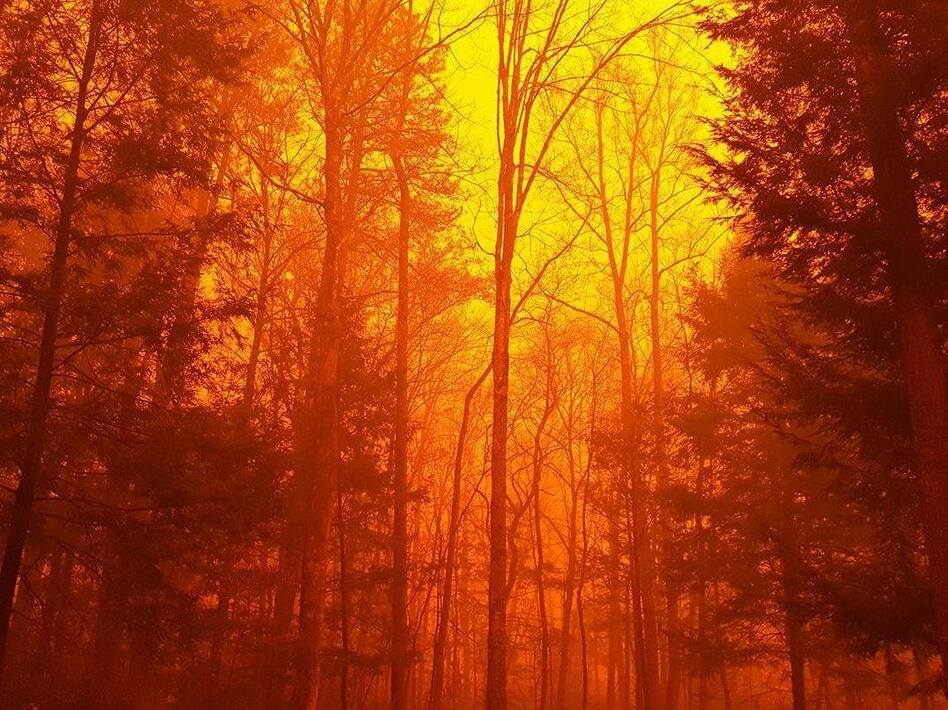 The wildfire continues to burn in the Great Smoky Mountains National Park in eastern Tennessee on Tuesday. (Great Smoky Mountains National Park)