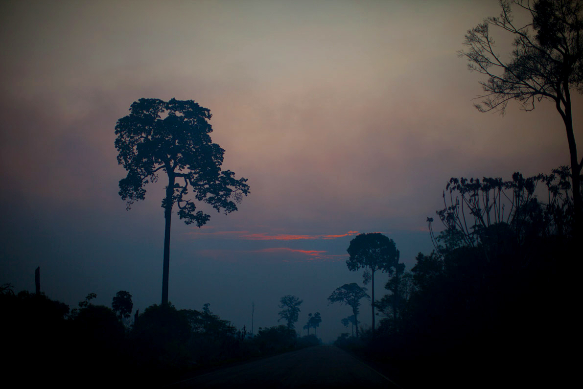 Amazon deforestation rate up 29 percent from last year, study finds