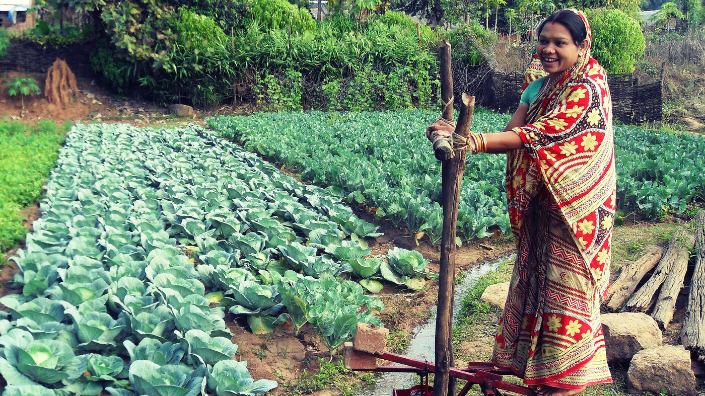 Tech award 2016 winners: projects to help the poor that have ...