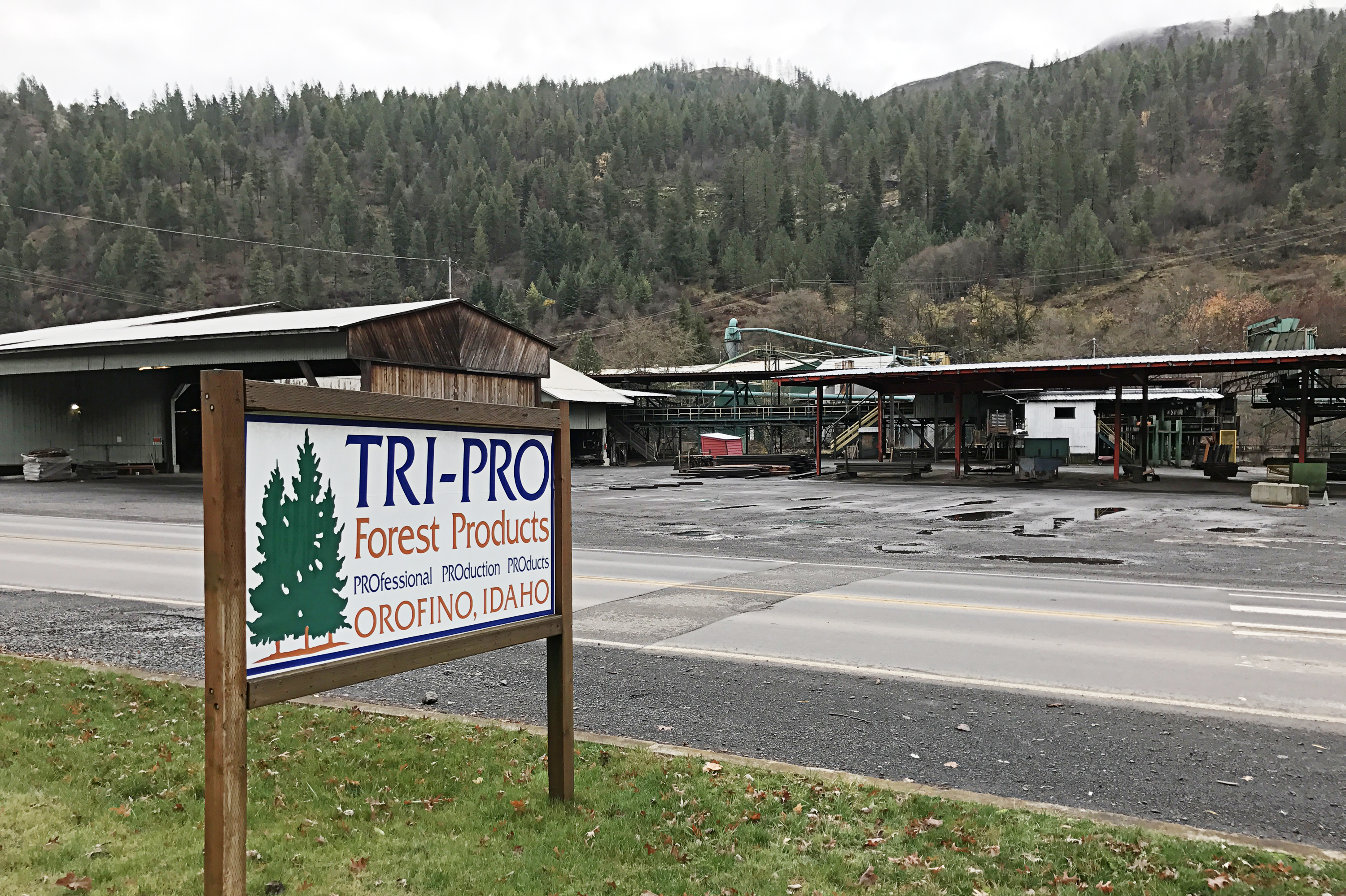 The Tri-Pro Forest Products facility in Orofino, Idaho, closed in October after operators said they didn't have a steady enough supply of logs to keep the sawmill running and profitable. (NPR)