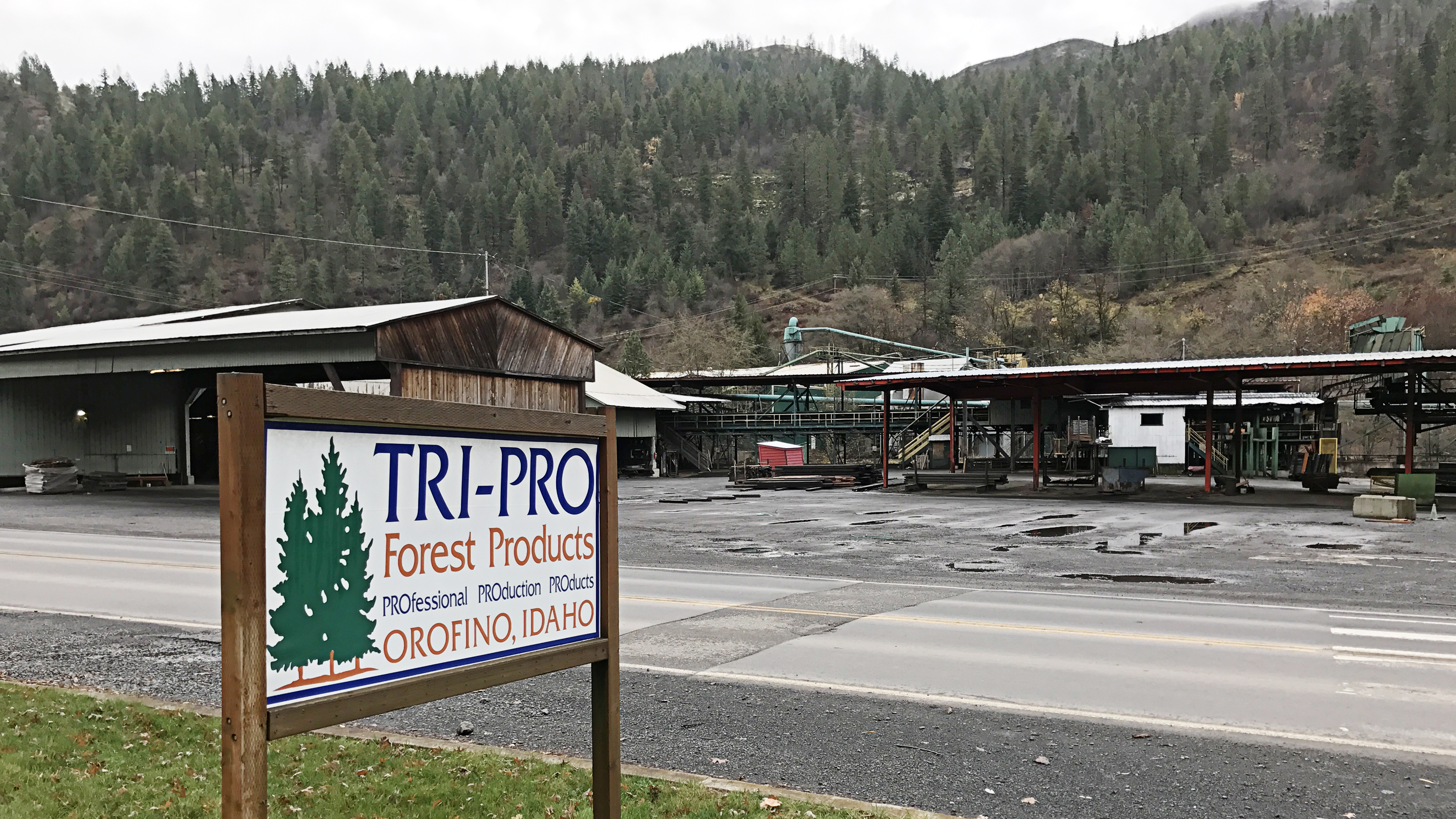 In Idaho Lumber Country, Trump Voters Wait To See If He Can Jumpstart