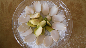 Meghli, Lebanon's Own Rice Pudding, Welcomes Babies — Including Jesus